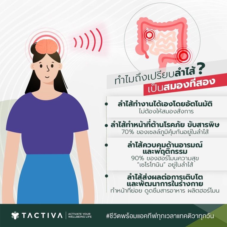 ลำไส้คือสมองที่สอง
